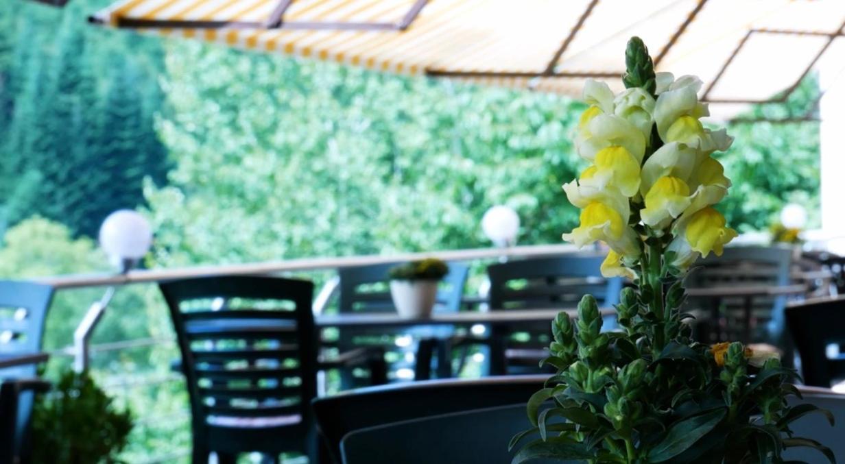 Hotel Cafe Waldeck 부스텐로트 외부 사진